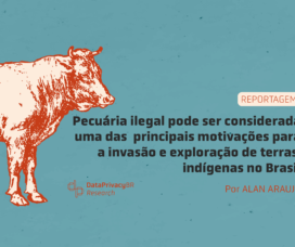 Reportagem completa – Pecuária ilegal pode ser considerada uma das principais motivações para invasão e exploração de terras indígenas no Brasil