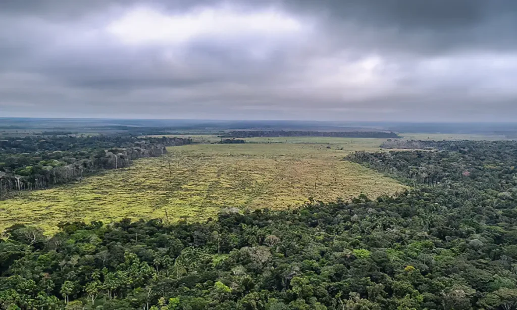  Cadastro Ambiental Rural: desigualdade na divulgação de dados