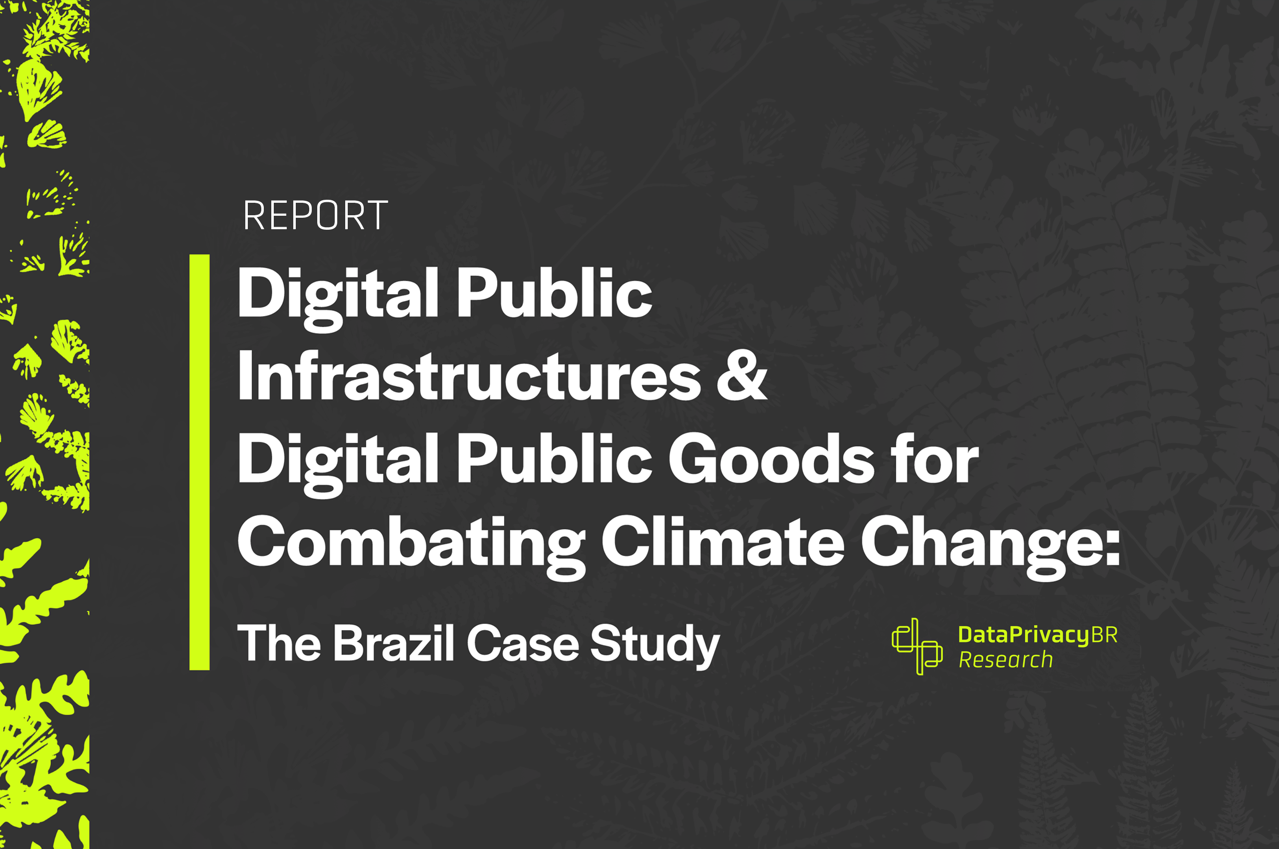 Digital Public Infrastructures & Digital Public Goods for Combating Climate Change: The Brazil Case Study